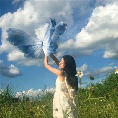 小鸡